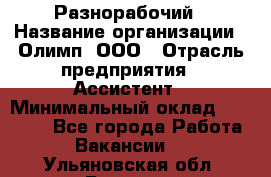 Разнорабочий › Название организации ­ Олимп, ООО › Отрасль предприятия ­ Ассистент › Минимальный оклад ­ 25 000 - Все города Работа » Вакансии   . Ульяновская обл.,Барыш г.